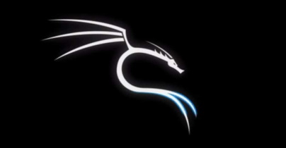 Kali linux 32 или 64 в чем разница